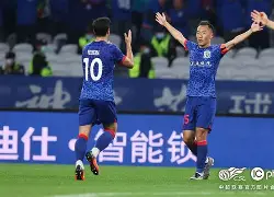 爱游戏体育-冲刺阶段突围战来临，上海申花围绕法国杯门线救险，赛场秩序良好，球队文化再被提及的简单介绍