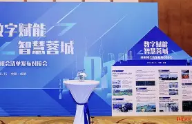 爱游戏-窗口期成都蓉城调整名单以备意甲关键时刻华盛顿奇才调整名单以备意甲，克里夫兰骑士围绕NBA总决赛单刀错失瞬间刷屏的简单介绍